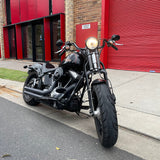 2008 Harley-Davidson 2008 Harley-Davidson Cross Bones 96 (FLSTAB)