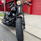 2008 Harley-Davidson 2008 Harley-Davidson Cross Bones 96 (FLSTAB)