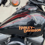 2008 Harley-Davidson 2008 Harley-Davidson Cross Bones 96 (FLSTAB)