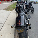 2008 Harley-Davidson 2008 Harley-Davidson Cross Bones 96 (FLSTAB)