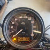 2015 Harley-Davidson 48